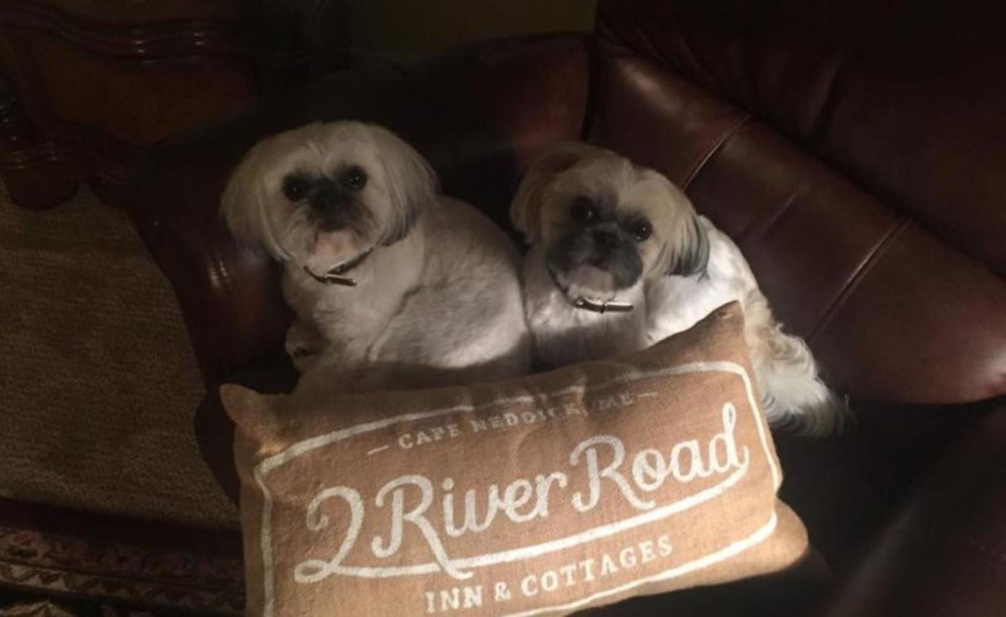 2 River Road Inn Cottages Cape Neddick Bagian luar foto